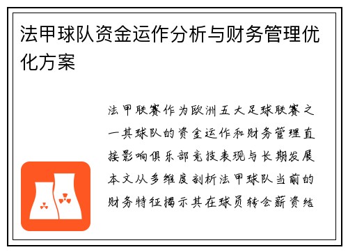 法甲球队资金运作分析与财务管理优化方案